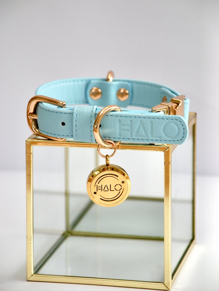 Halo Pet Iced Aqua Diffuser Collar™ Blue with Gold hardware and diffuser pendant